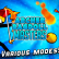Archer Ragdoll Masters img