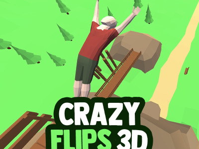 Crazy Flips 3D background