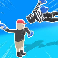 Ragdoll Fighter