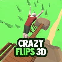 Crazy Flips 3D Crazy Flips 3D img
